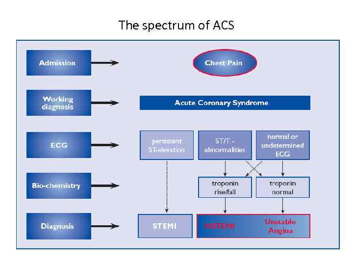 The spectrum of ACS 