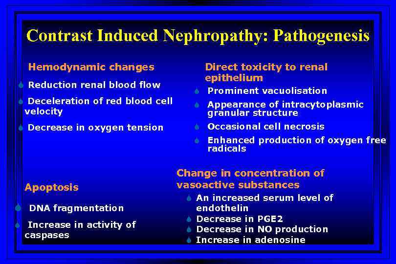 Contrast Induced Nephropathy: Pathogenesis Hemodynamic changes S Reduction renal blood flow S Deceleration of