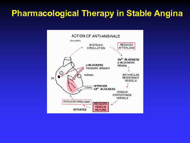 Pharmacological Therapy in Stable Angina 
