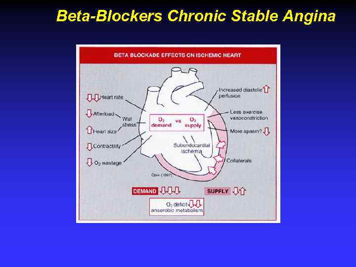 Beta-Blockers Chronic Stable Angina 
