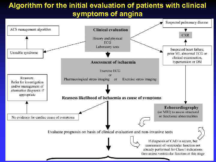 Algorithm for the initial evaluation of patients with clinical symptoms of angina 