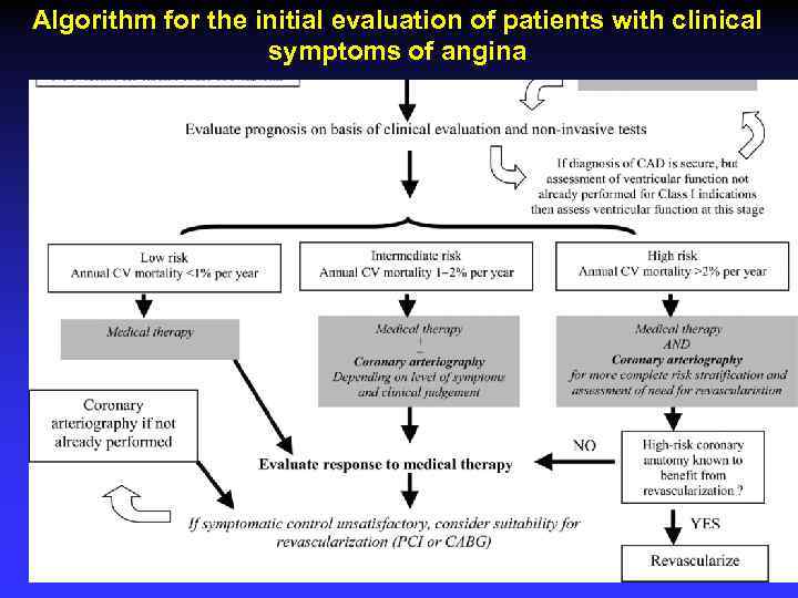 Algorithm for the initial evaluation of patients with clinical symptoms of angina 