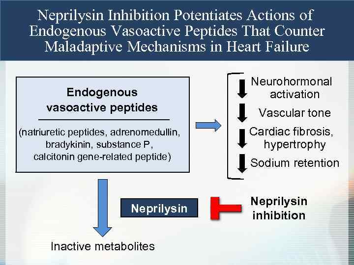 Neprilysin Inhibition Potentiates Actions of Endogenous Vasoactive Peptides That Counter Maladaptive Mechanisms in Heart