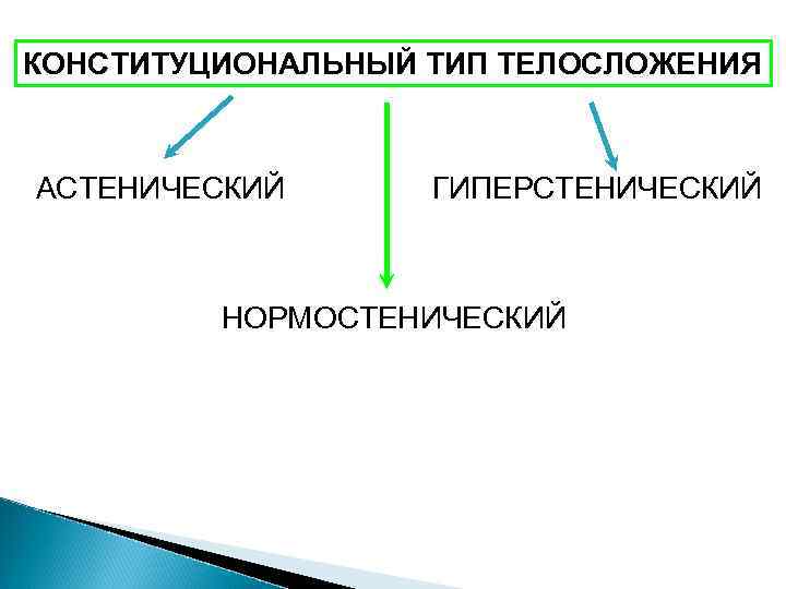 КОНСТИТУЦИОНАЛЬНЫЙ ТИП ТЕЛОСЛОЖЕНИЯ АСТЕНИЧЕСКИЙ ГИПЕРСТЕНИЧЕСКИЙ НОРМОСТЕНИЧЕСКИЙ 