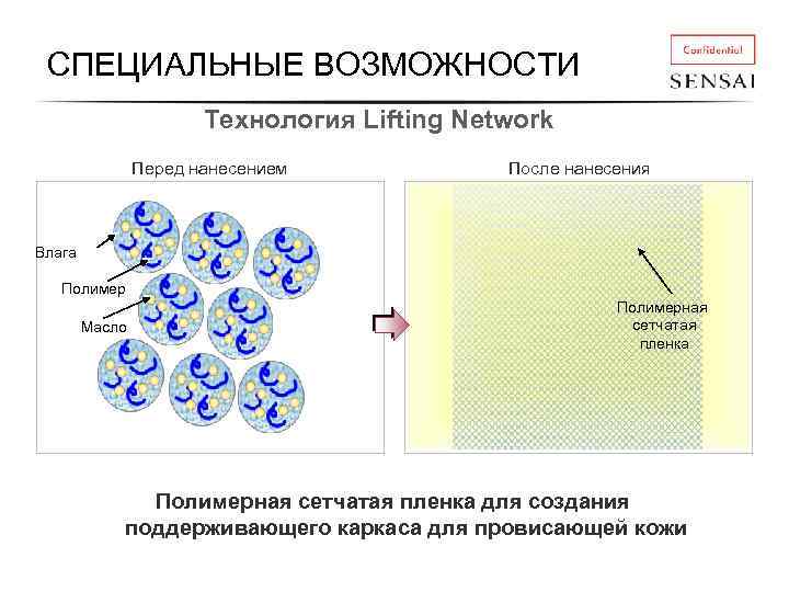 СПЕЦИАЛЬНЫЕ ВОЗМОЖНОСТИ Технология Lifting Network Перед нанесением После нанесения Влага Полимер Масло Полимерная сетчатая