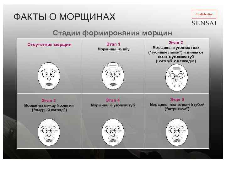 ФАКТЫ О МОРЩИНАХ Стадии формирования морщин Отсутствие морщин Этап 3 Морщины между бровями (“хмурый