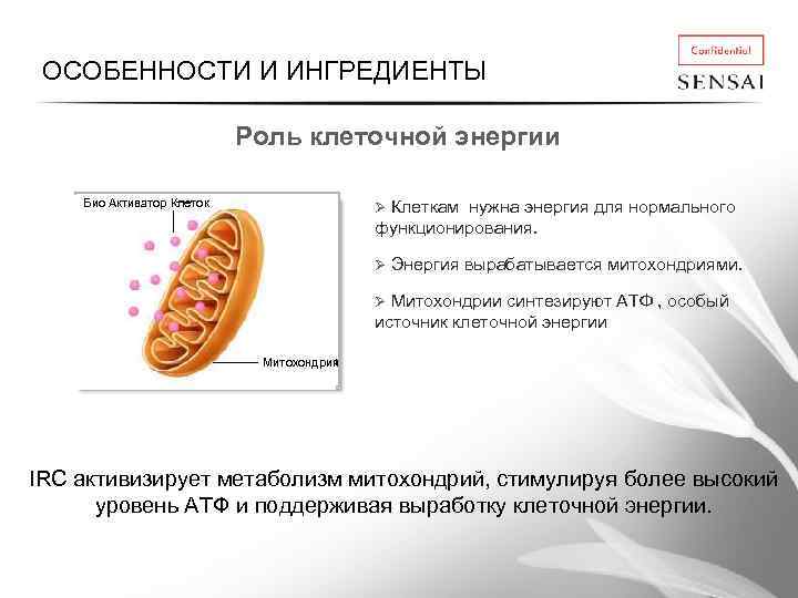 ОСОБЕННОСТИ И ИНГРЕДИЕНТЫ Роль клеточной энергии Био Активатор Клеток Митохондрия Ø Клеткам нужна энергия