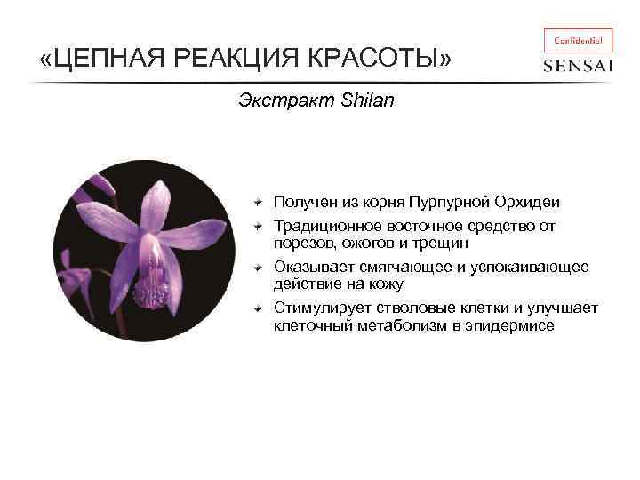  «ЦЕПНАЯ РЕАКЦИЯ КРАСОТЫ» Экстракт Shilan Получен из корня Пурпурной Орхидеи Традиционное восточное средство