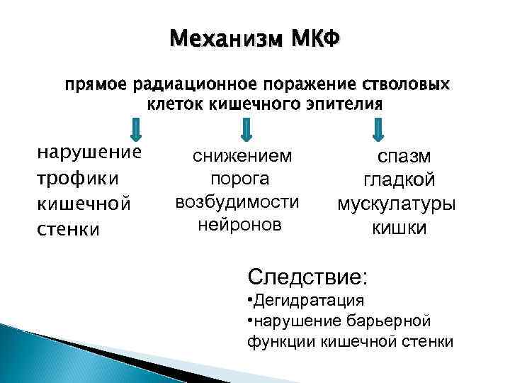 Механизм МКФ прямое радиационное поражение стволовых клеток кишечного эпителия нарушение трофики кишечной стенки снижением