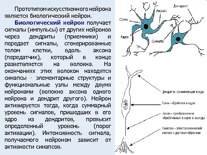 Схема искусственного нейрона