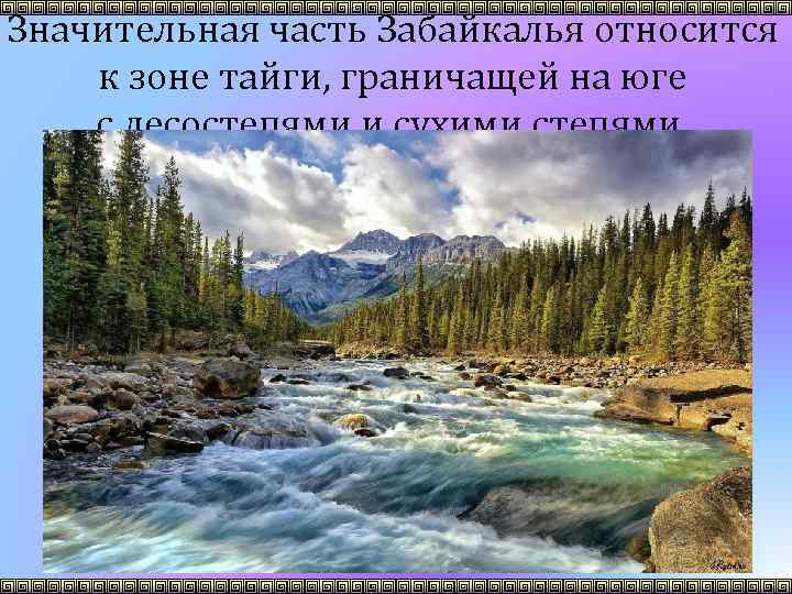 Значительная часть Забайкалья относится к зоне тайги, граничащей на юге с лесостепями и сухими