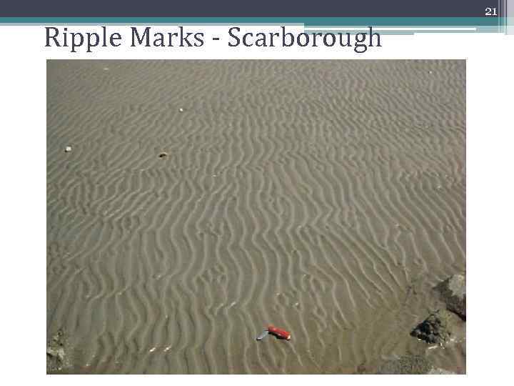 21 Ripple Marks - Scarborough 