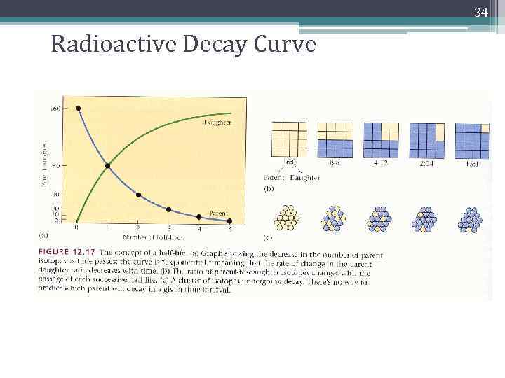 34 Radioactive Decay Curve 