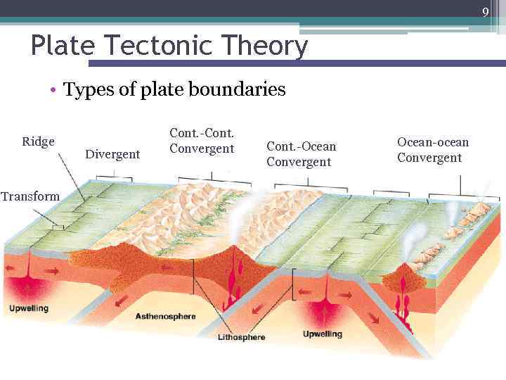 9 Plate Tectonic Theory • Types of plate boundaries Ridge Transform Divergent Cont. -Cont.