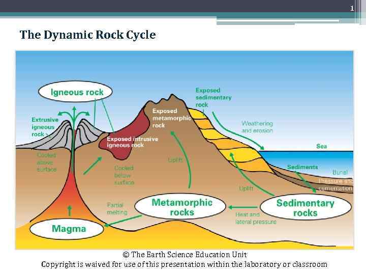 1 The Dynamic Rock Cycle © The Earth Science Education Unit Copyright is waived