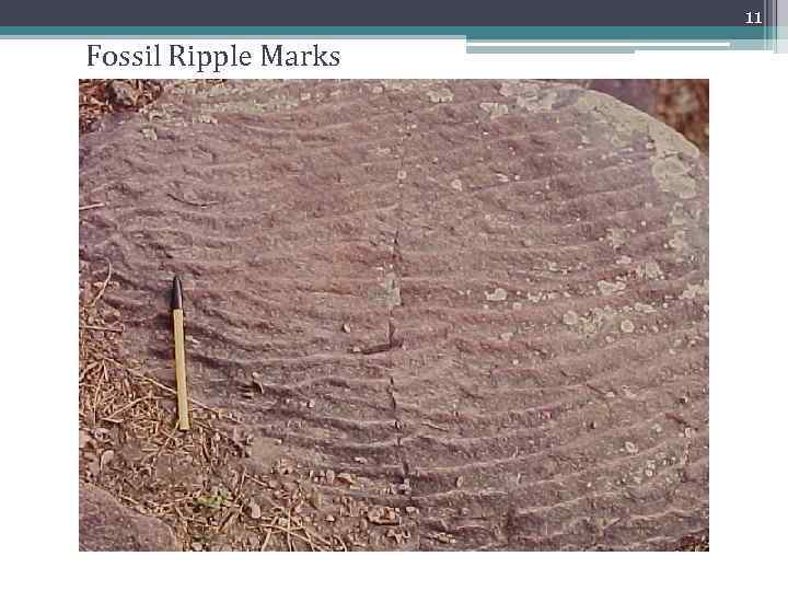 11 Fossil Ripple Marks 