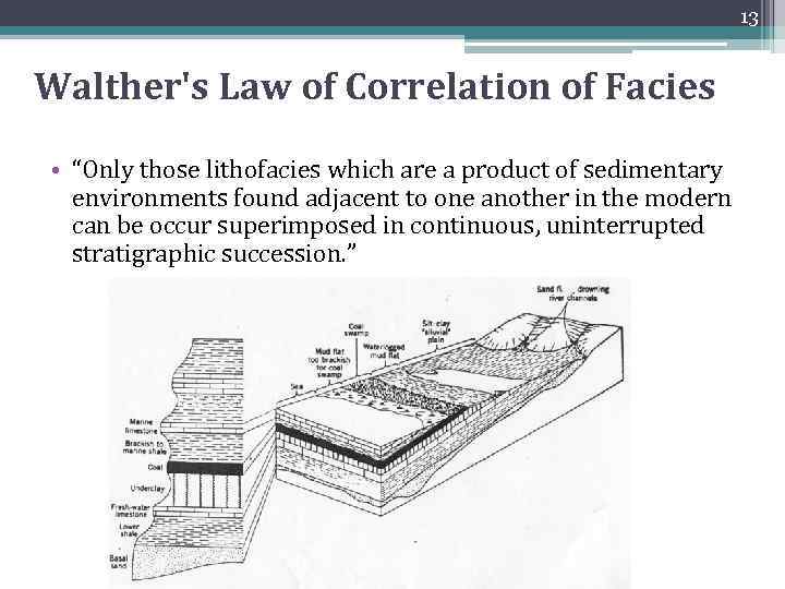 13 Walther's Law of Correlation of Facies • “Only those lithofacies which are a