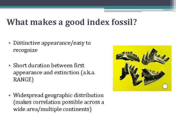 What makes a good index fossil? • Distinctive appearance/easy to recognize • Short duration