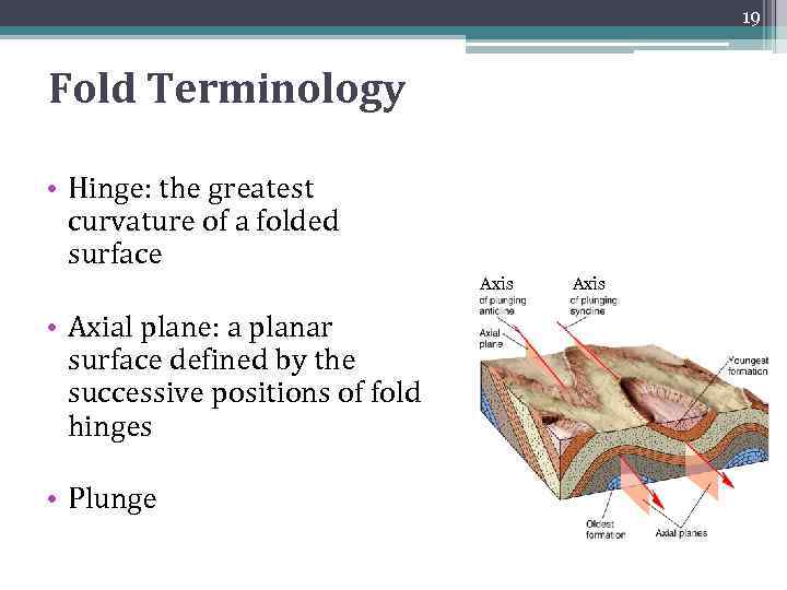 19 Fold Terminology • Hinge: the greatest curvature of a folded surface Axis •