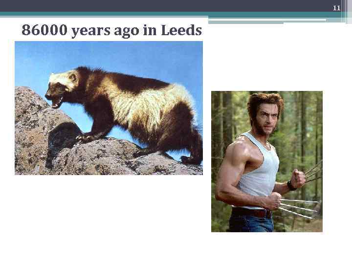 11 86000 years ago in Leeds 