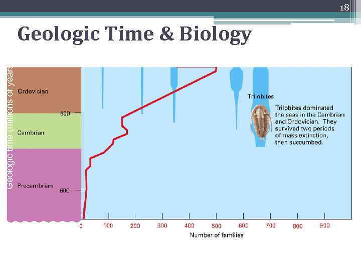 Geologic time (millions of years) 18 Geologic Time & Biology 