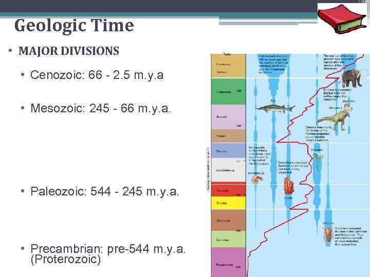 21 Geologic Time • MAJOR DIVISIONS • Cenozoic: 66 - 2. 5 m. y.