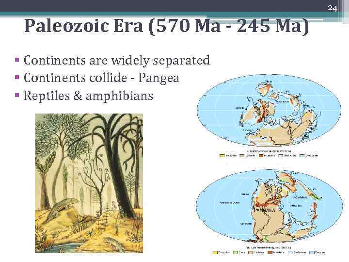 24 Paleozoic Era (570 Ma - 245 Ma) § Continents are widely separated §