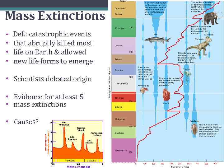 Mass Extinctions Def. : catastrophic events • that abruptly killed most • life on