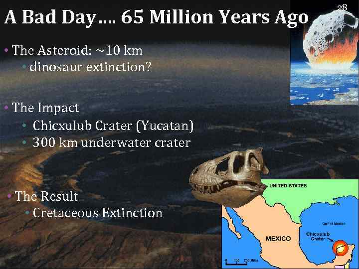 A Bad Day…. 65 Million Years Ago • The Asteroid: ~10 km • dinosaur