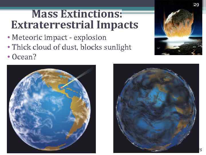 Mass Extinctions: Extraterrestrial Impacts 29 • Meteoric impact - explosion • Thick cloud of