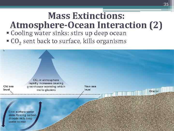 35 Mass Extinctions: Atmosphere-Ocean Interaction (2) § Cooling water sinks: stirs up deep ocean