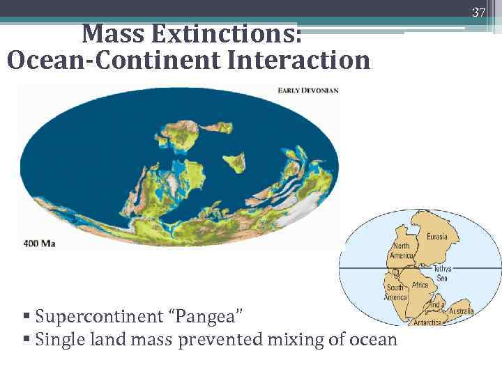 Mass Extinctions: Ocean-Continent Interaction § Supercontinent “Pangea” § Single land mass prevented mixing of