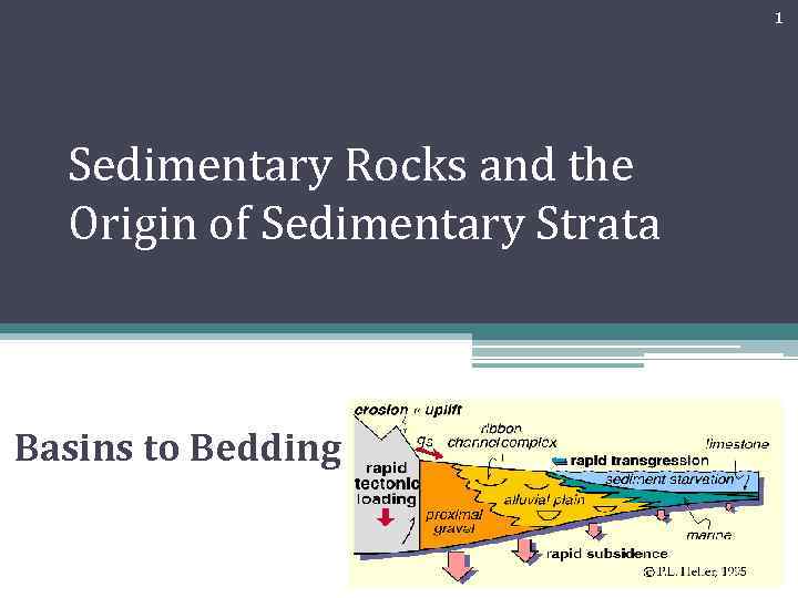 1 Sedimentary Rocks and the Origin of Sedimentary Strata Basins to Bedding 