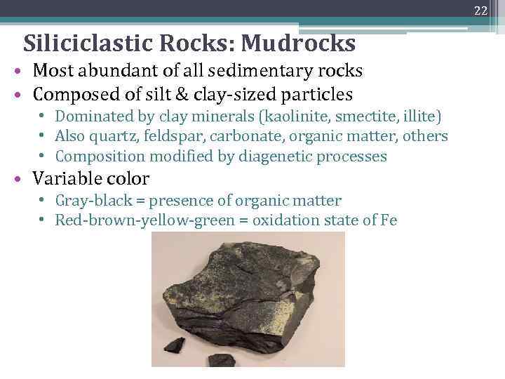 22 Siliciclastic Rocks: Mudrocks • Most abundant of all sedimentary rocks • Composed of