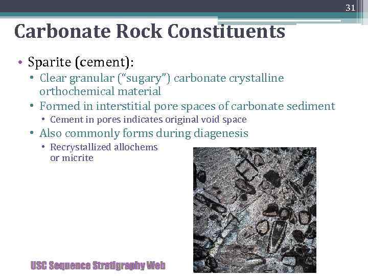 31 Carbonate Rock Constituents • Sparite (cement): • Clear granular (“sugary”) carbonate crystalline orthochemical