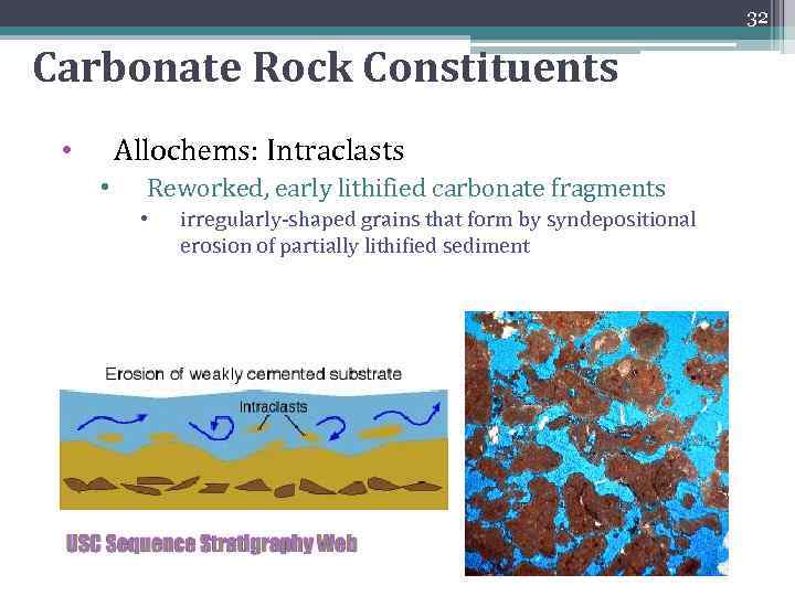 32 Carbonate Rock Constituents Allochems: Intraclasts • • Reworked, early lithified carbonate fragments •