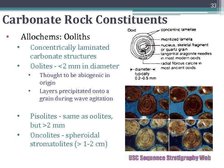 33 Carbonate Rock Constituents Allochems: Ooliths • • • Concentrically laminated carbonate structures Oolites