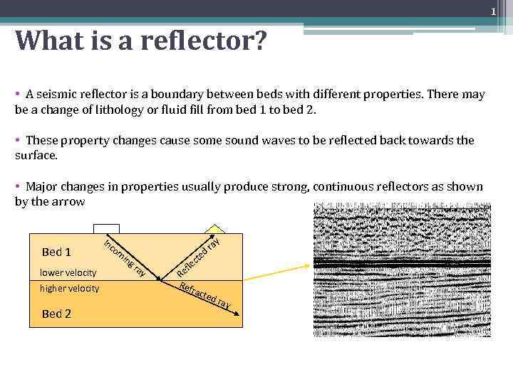 1 What is a reflector? There are many reflectors on a seismic section. Major