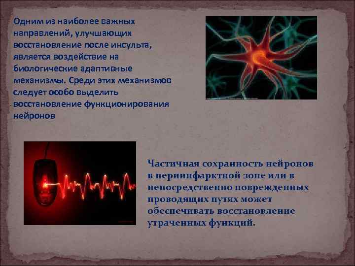 Одним из наиболее важных направлений, улучшающих восстановление после инсульта, является воздействие на биологические адаптивные