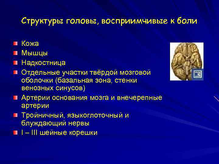 Структуры головы, восприимчивые к боли Кожа Мышцы Надкостница Отдельные участки твёрдой мозговой оболочки (базальная