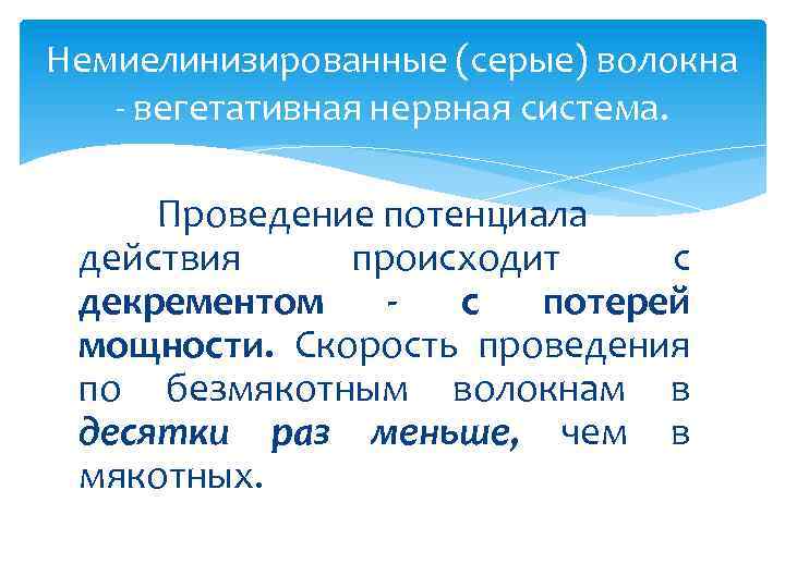 Немиелинизированные (серые) волокна вегетативная нервная система. Проведение потенциала действия происходит с декрементом с потерей