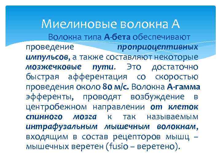 Миелиновые волокна А Волокна типа А-бета обеспечивают проведение проприоцептивных импульсов, а также составляют некоторые