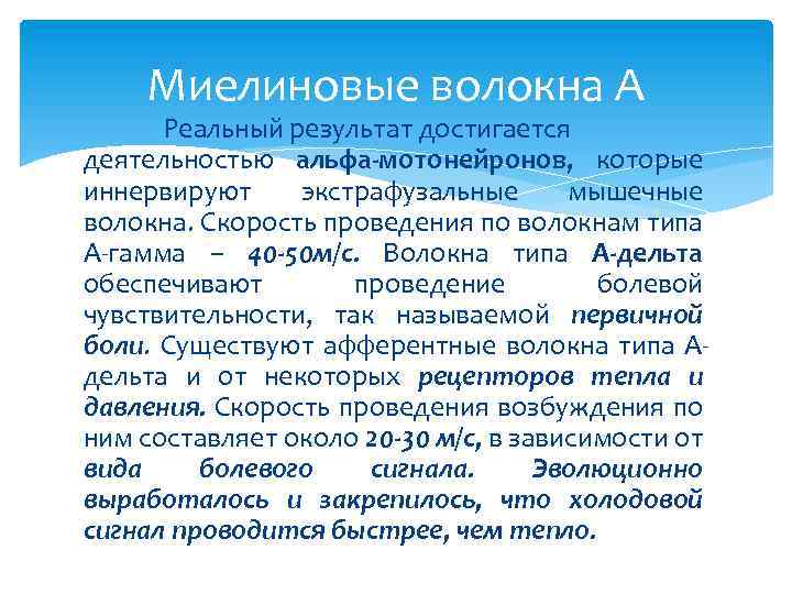 Миелиновые волокна А Реальный результат достигается деятельностью альфа-мотонейронов, которые иннервируют экстрафузальные мышечные волокна. Скорость