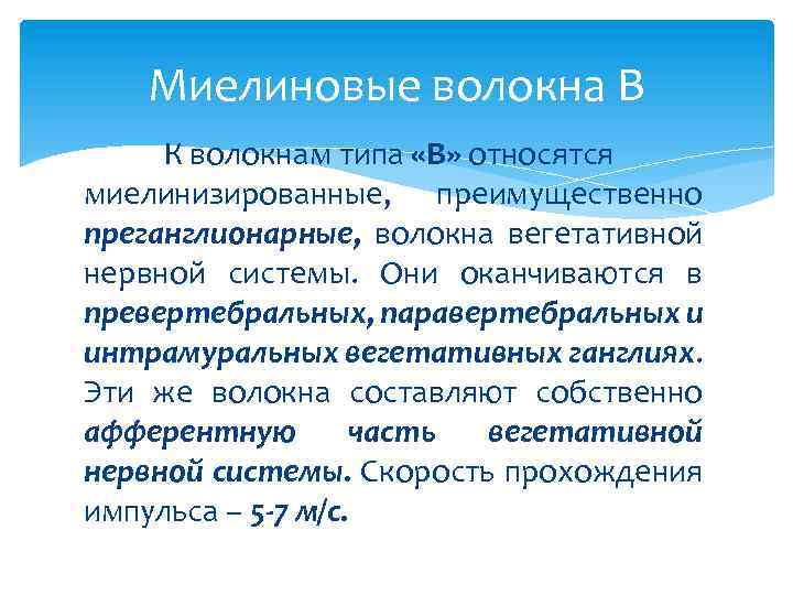 Миелиновые волокна В К волокнам типа «В» относятся миелинизированные, преимущественно преганглионарные, волокна вегетативной нервной