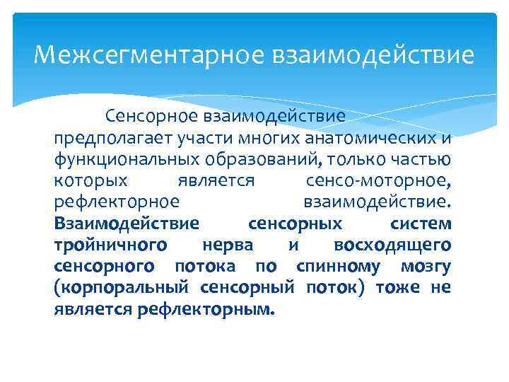 Межсегментарное взаимодействие Сенсорное взаимодействие предполагает участи многих анатомических и функциональных образований, только частью которых