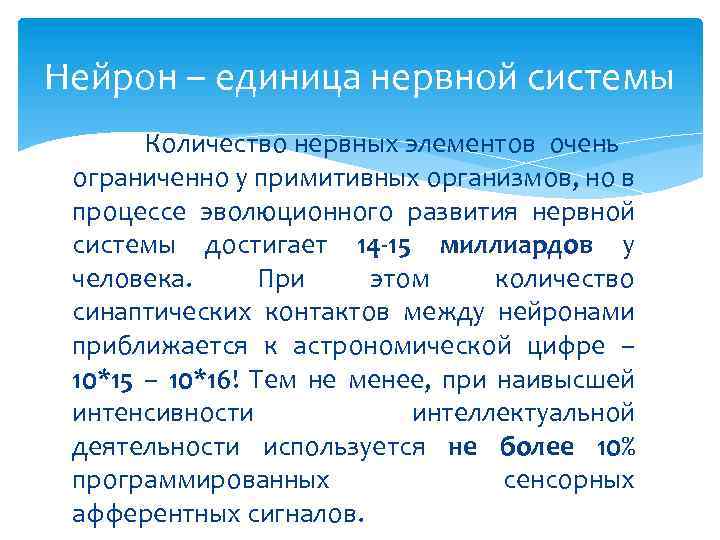 Нейрон – единица нервной системы Количество нервных элементов очень ограниченно у примитивных организмов, но