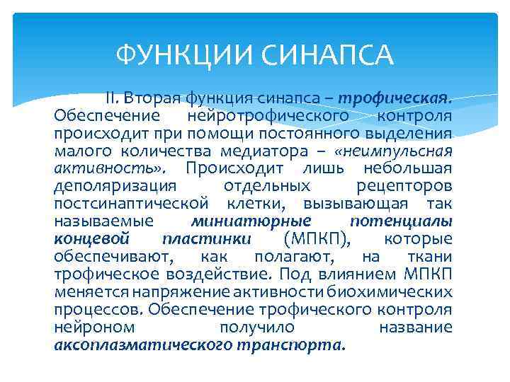 ФУНКЦИИ СИНАПСА II. Вторая функция синапса – трофическая. Обеспечение нейротрофического контроля происходит при помощи