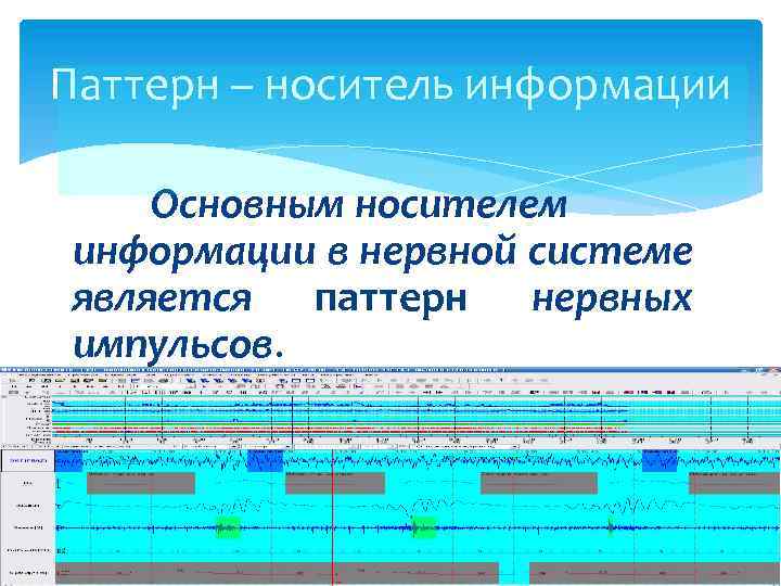 Паттерн – носитель информации Основным носителем информации в нервной системе является паттерн нервных импульсов.