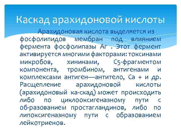 Каскад арахидоновой кислоты Арахидоновая кислота выделяется из фосфолипидов мембран под влиянием фермента фосфолипазы Аг