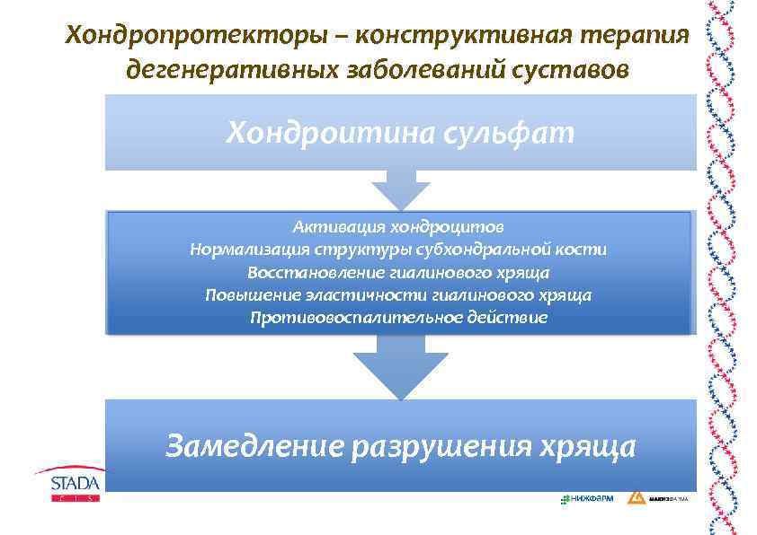Хондропротекторы – конструктивная терапия дегенеративных заболеваний суставов Хондроитина сульфат Активация хондроцитов Нормализация структуры субхондральной